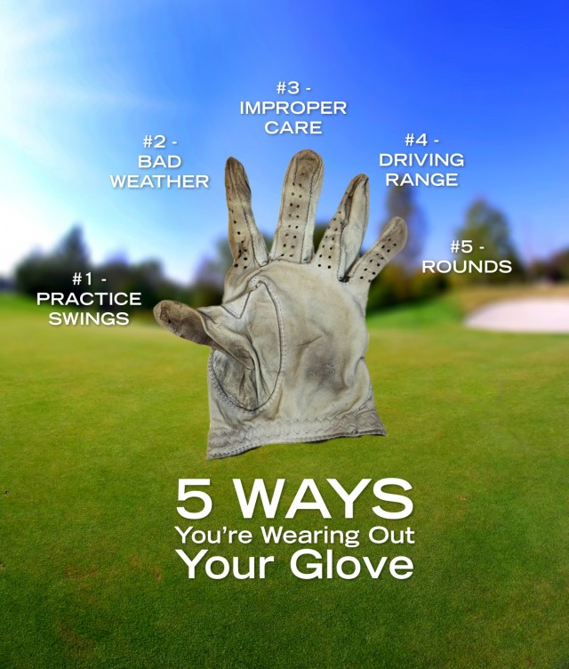 Golf Gloves infographics 1.jpg